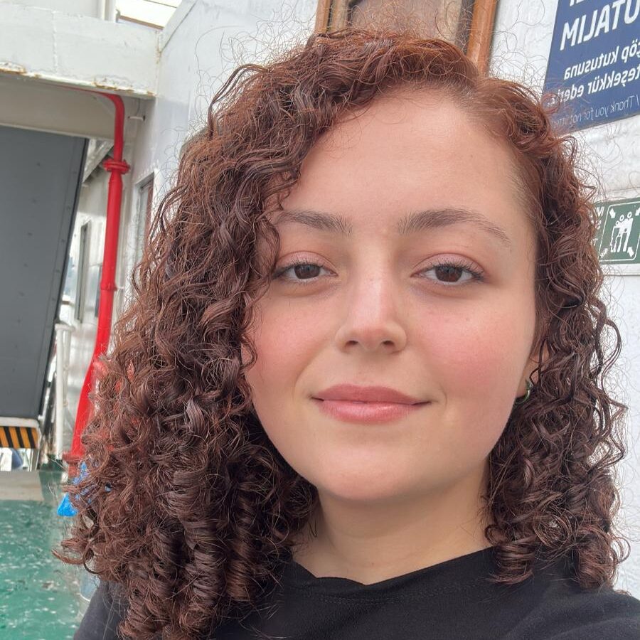 duygu